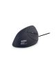 Urban Factory EMR01UF-N souris Bureau Droitier USB Type-A Optique 3600 DPI - EMR01UF-N