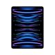 Apple iPad Pro 5G Apple M TD-LTE & FDD-LTE 256 Go 32,8 cm (12.9