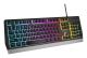 GENESIS Rhod 300 RGB clavier Jouer USB QWERTY Anglais Noir - NKG-1528