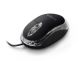 TITANUM XM102K souris Voyage Ambidextre USB Type-A Optique 1000 DPI - XM102K