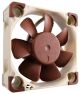Noctua NF-A4x10 5V Boitier PC Ventilateur 4 cm Beige, Marron - NF-A4X10 5V