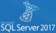 Microsoft SQL Server 2017 Enterprise Base de données - 7JQ-01275