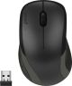 SPEEDLINK KAPPA souris Bureau Droitier RF sans fil Optique 1600 DPI - SL-630011-BK