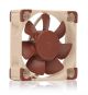 Noctua NF A4x10 5V PWM Boitier PC Ventilateur 4 cm Marron - NF-A4X10 5V PWM