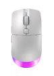 CHERRY XTRFY M50 Wireless souris Jouer Droitier RF Wireless + Bluetooth + USB Type-C Optique 12000 DPI - JW-5000-0