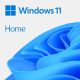 Microsoft Windows 11 Home 1 licence(s) - KW9-00638