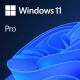Microsoft Windows 11 Pro 1 licence(s) - FQC-10572