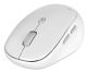HYPER HS2100GL souris Universel Droitier Bluetooth 2400 DPI - HS2100GL