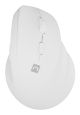 NATEC Crake 2 souris Universel Droitier RF sans fil + Bluetooth Optique 2400 DPI - NMY-2257