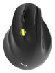 Port Designs 910008 souris Universel Gauche RF sans fil + Bluetooth Optique 2400 DPI - 910008