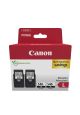 Canon PG-540L cartouche d'encre 2 pièce(s) Original High (L) Yield Noir - 5224B020