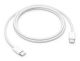 Apple MW493ZM/A câble USB 1 m USB C Blanc - MW493ZM/A