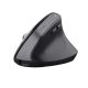 Trust Bayo+ souris Bureau Droitier RF sans fil + Bluetooth Optique 2400 DPI - 25146